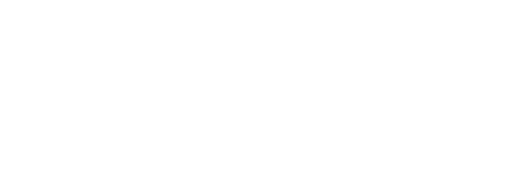 PickleBull